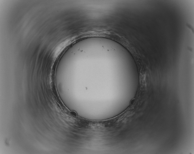 X0000103450340200809261822