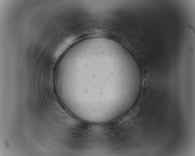 X0000103450341200809261822