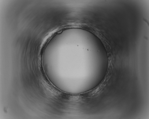 X0000103450342200809261822