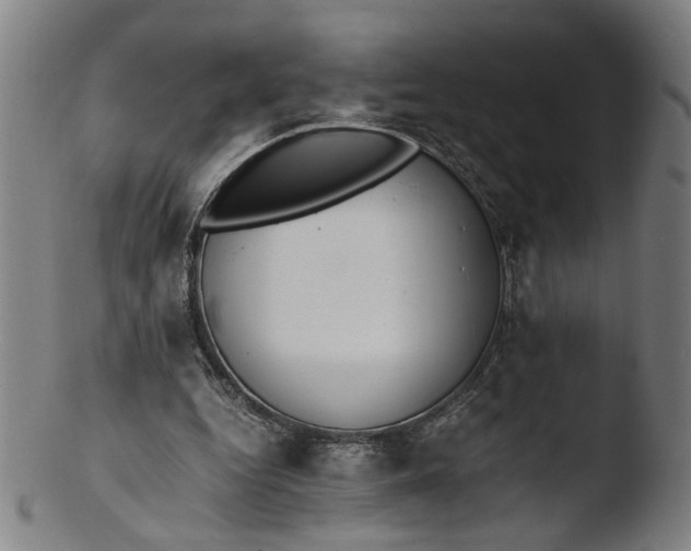 X0000103450344200809261822