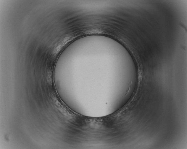 X0000103450345200809261822