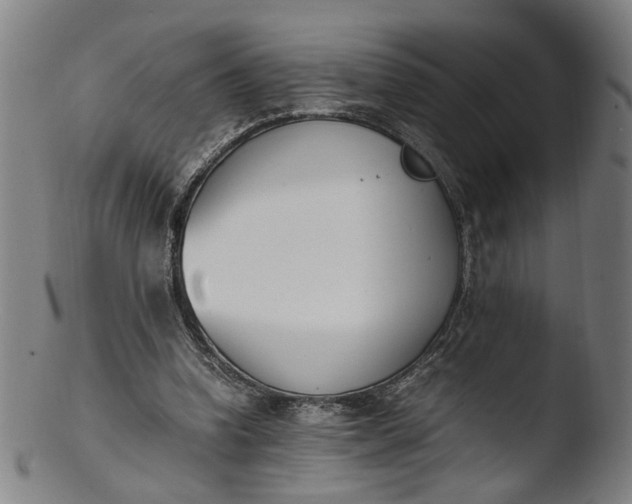 X0000103450346200809261822