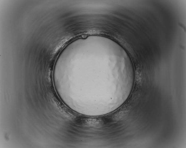 X0000103450347200809261822