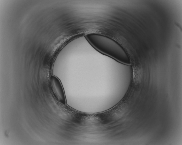 X0000103450348200809261822