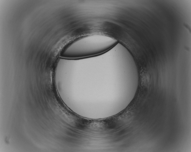 X0000103450350200809261822