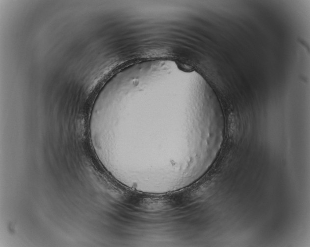 X0000103450351200809261822