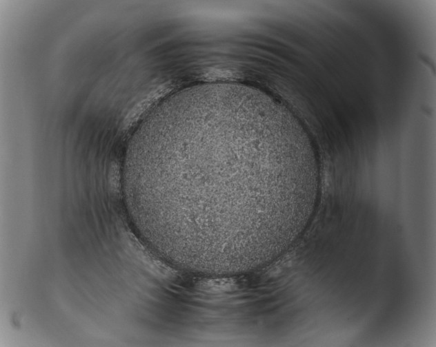 X0000103450353200809261822