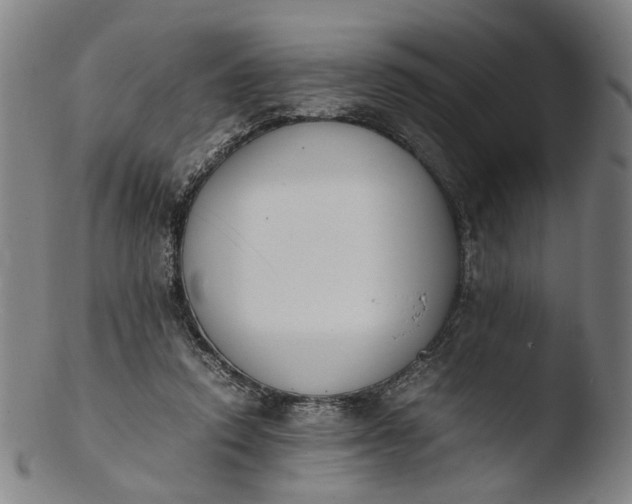 X0000103450354200809261822