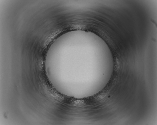 X0000103450355200809261822