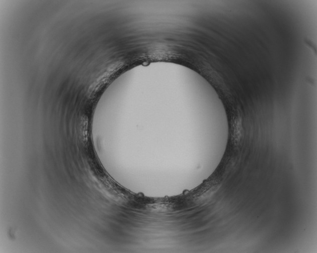 X0000103450356200809261822