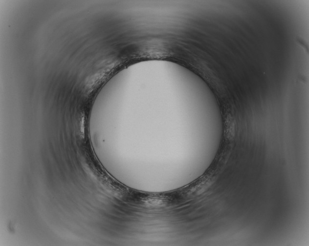 X0000103450358200809261822