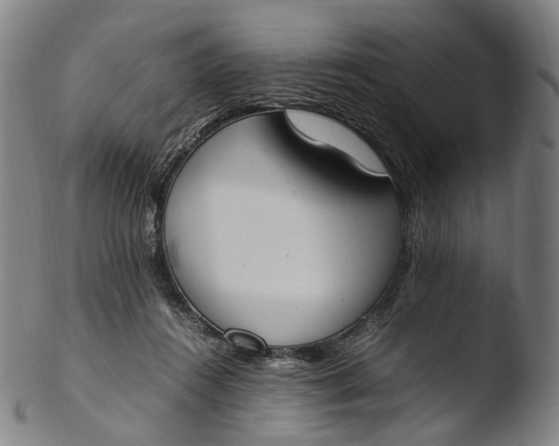 X0000103450360200809261822