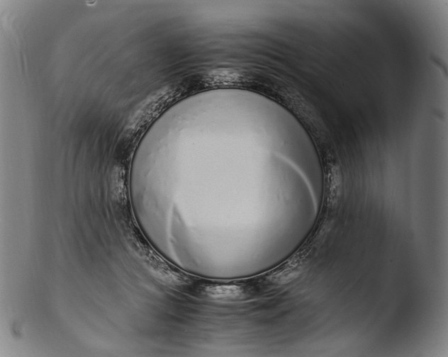 X0000103450361200809261822