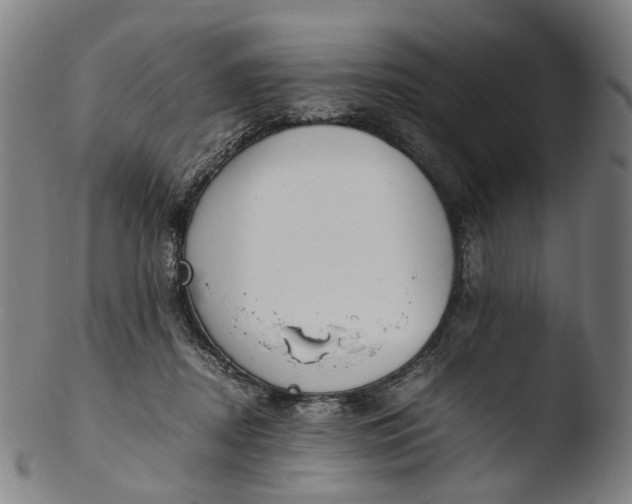 X0000103450362200809261822