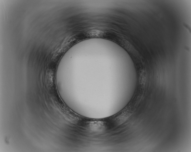 X0000103450363200809261822