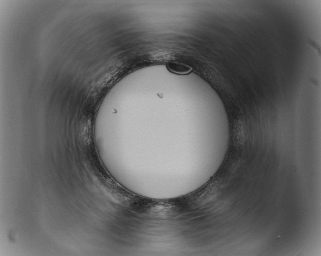 X0000103450364200809261822