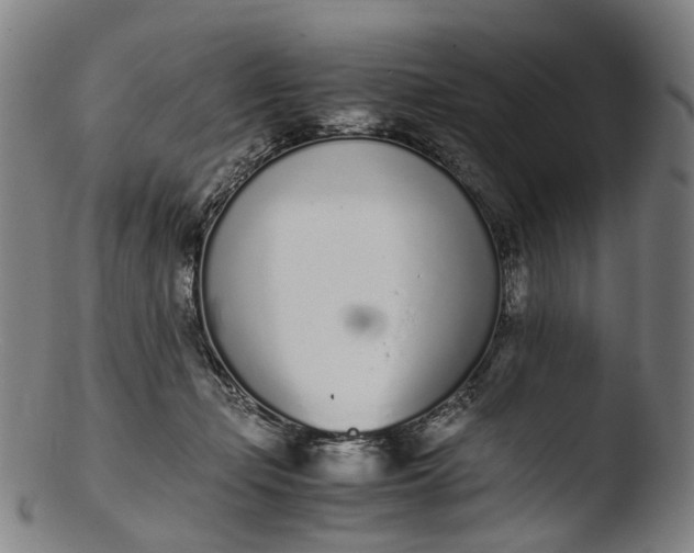 X0000103450365200809261822