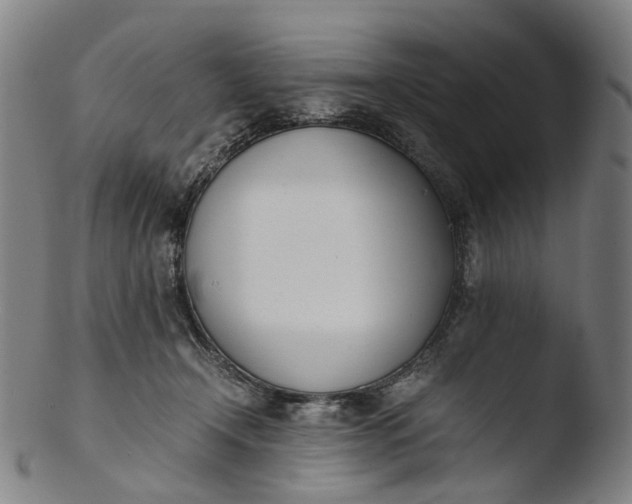 X0000103450366200809261822