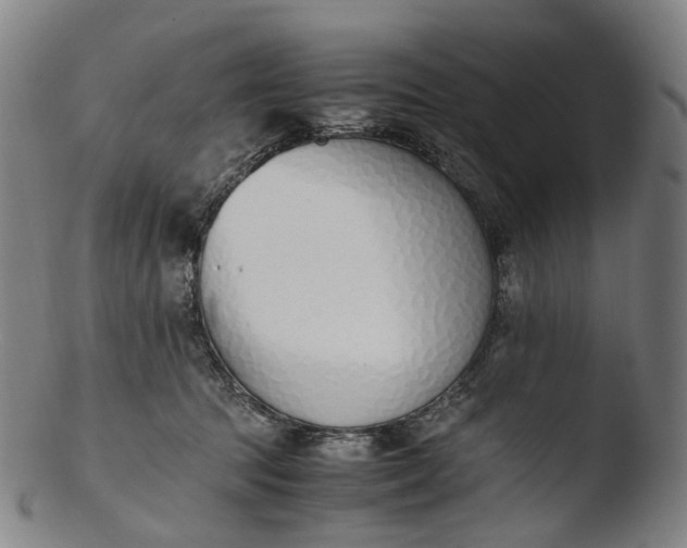 X0000103450369200809261822