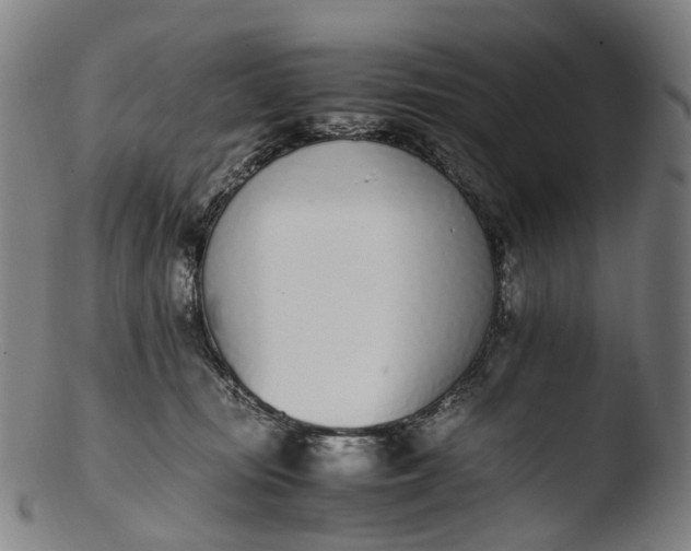 X0000103450371200809261822