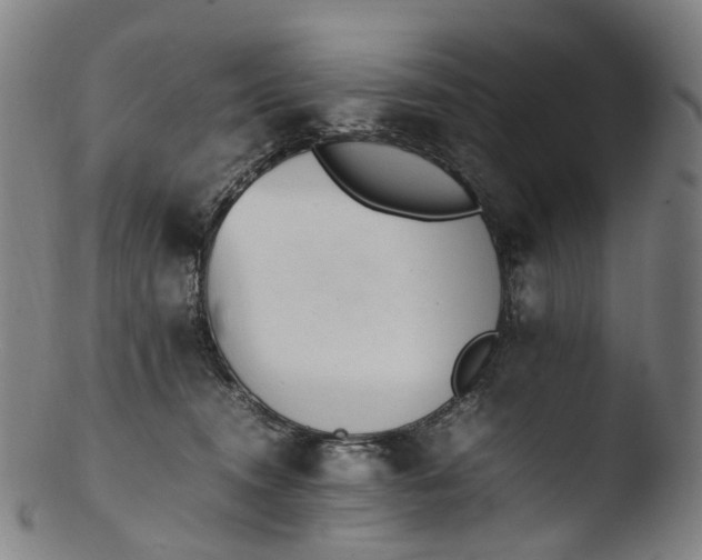 X0000103450372200809261822