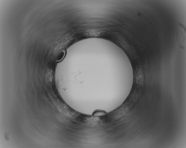 X0000103450374200809261822