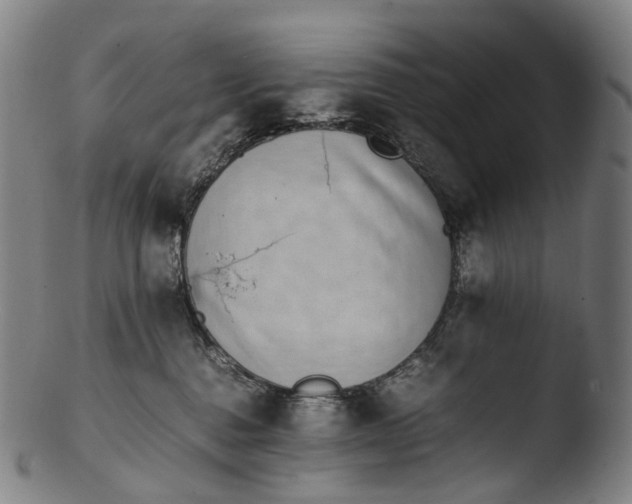 X0000103450376200809261822