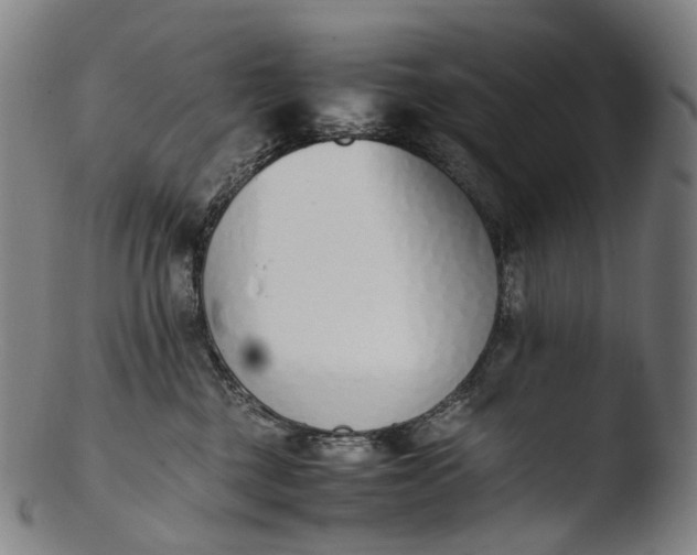 X0000103450377200809261822