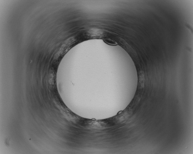 X0000103450379200809261823