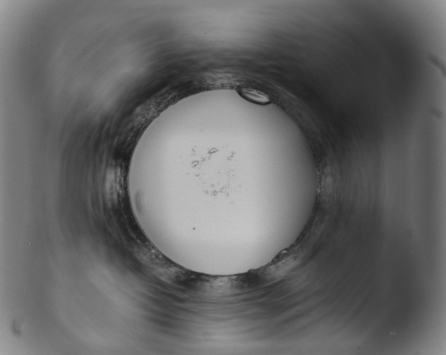 X0000103450382200809261823