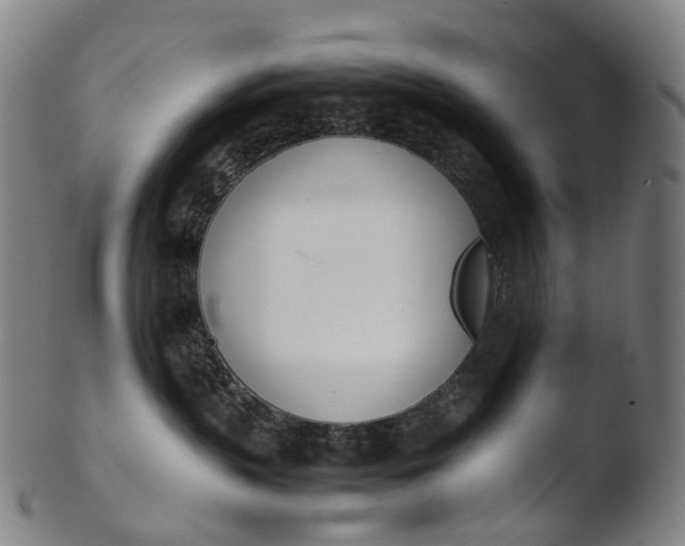 X0000103450383200809261823