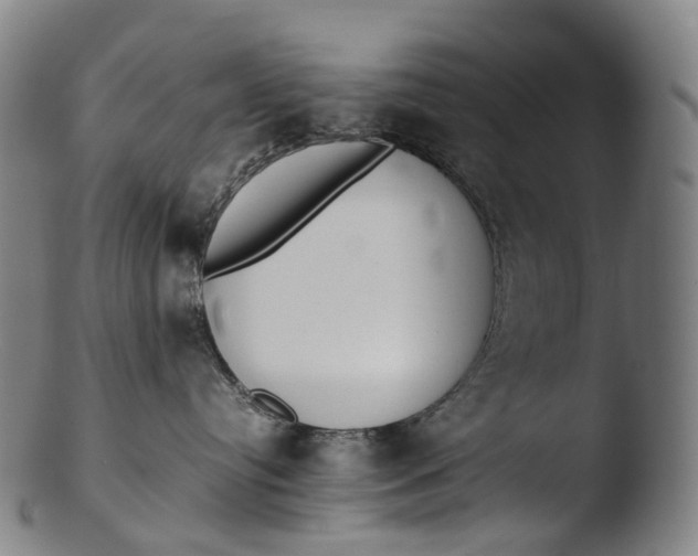 X0000103450384200809261823