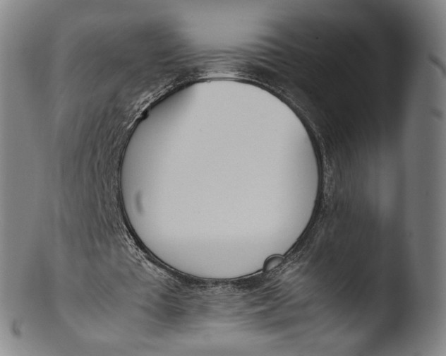 X0000103450385200809261822