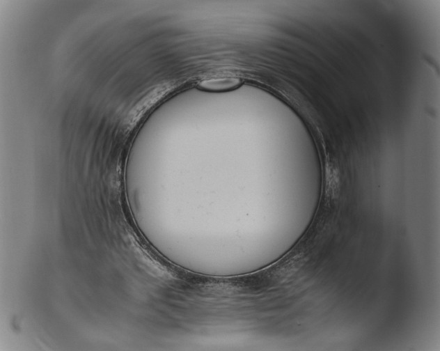 X0000103450389200809261822