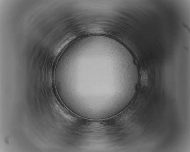 X0000103450390200809261822