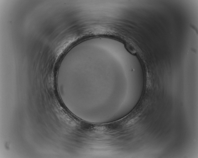 X0000103450391200809261822