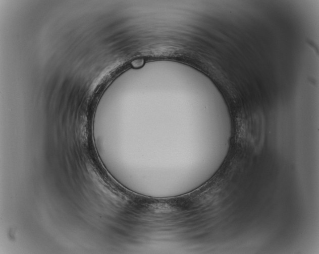 X0000103450392200809261822