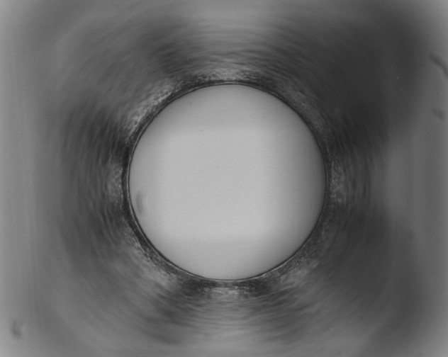 X0000103450394200809261822