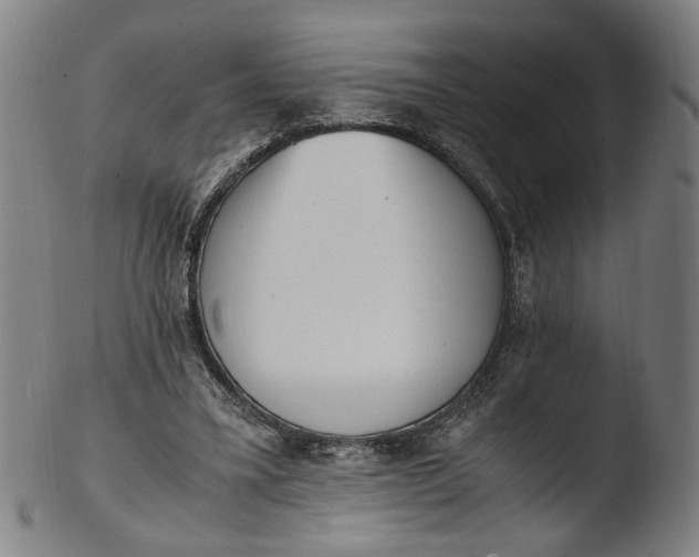 X0000103450395200809261822