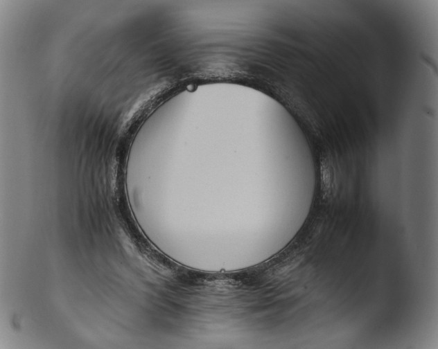 X0000103450396200809261822