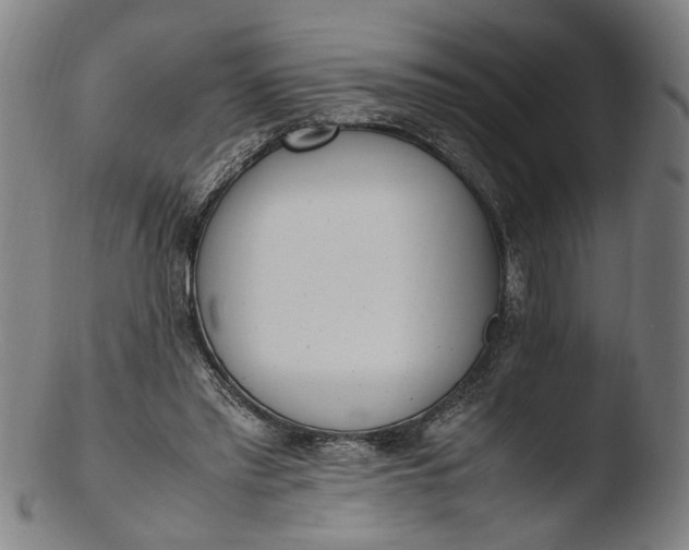 X0000103450397200809261822