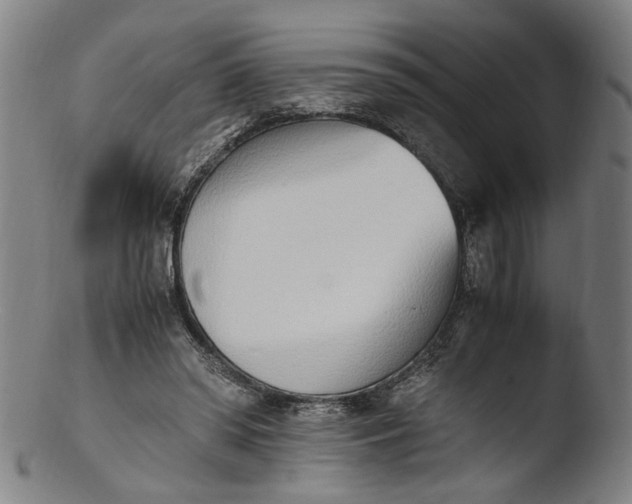 X0000103450398200809261822