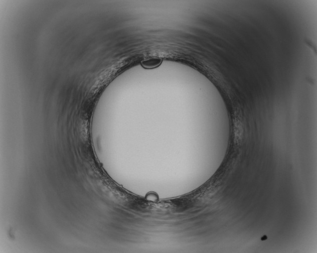 X0000103450401200809261822