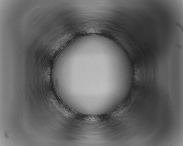 X0000103450402200809261822