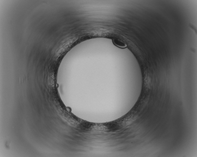 X0000103450403200809261822