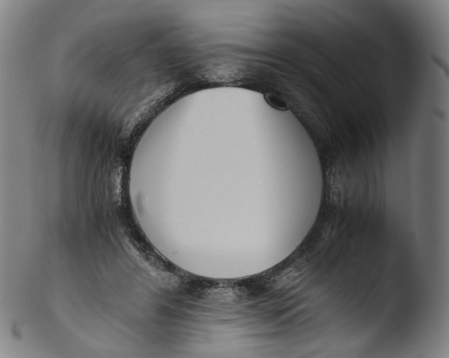 X0000103450404200809261822