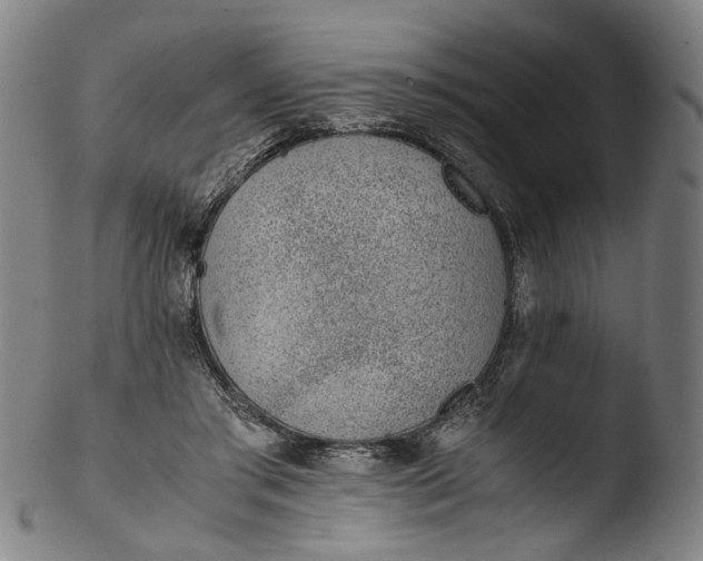 X0000103450405200809261822