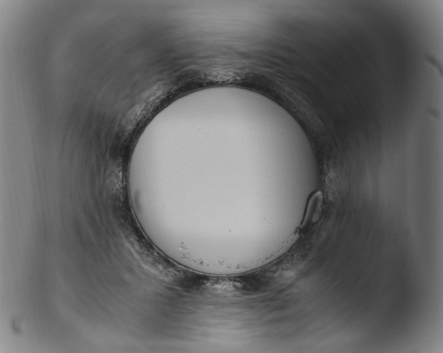 X0000103450407200809261822