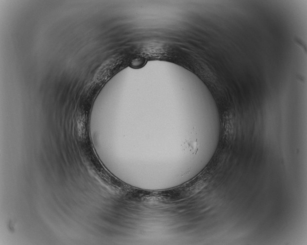 X0000103450408200809261822