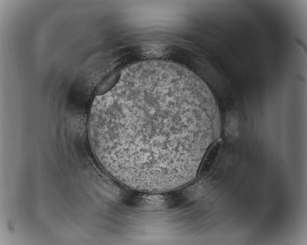 X0000103450409200809261822